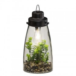 TERRARIUM EN VERRE TREMPE EN AMPOULE PLANTE HAUTEUR 31CM