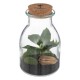 TERRARIUM EN VERRE TREMPE BOTANIC FACTORY HAUTEUR 19CM