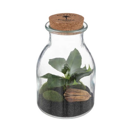 TERRARIUM EN VERRE TREMPE BOTANIC FACTORY HAUTEUR 19CM