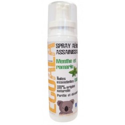 SPRAY ASSAINISSANT MENTHE & ROMARIN AUX HUILES ESSENTIELLES BIO 100ML