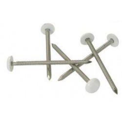 CLOU INOX EMBOUT PLASTIQUE