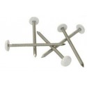 CLOU INOX EMBOUT PLASTIQUE