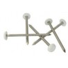 CLOU INOX EMBOUT PLASTIQUE