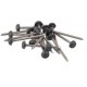 CLOU INOX EMBOUT PLASTIQUE