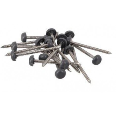CLOU INOX EMBOUT PLASTIQUE