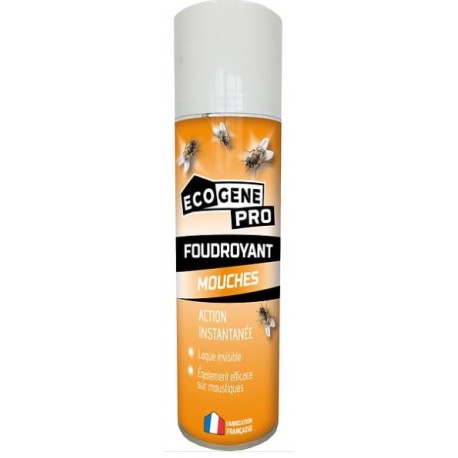 AEROSOL INSECTICIDE ANTI MOUCHES 250ML