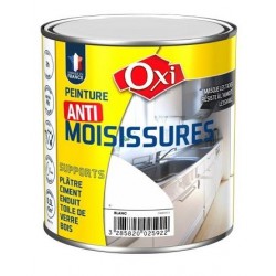 PEINTURE ANTI MOISISSURES BLANC SATINEE