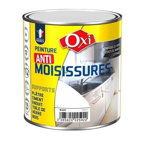 PEINTURE ANTI MOISISSURES BLANC SATINEE