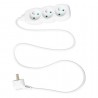 BLOC MULTIPRISE 3 PRISES 3G1MM EN 1M