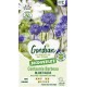 CENTAUREE BLEUET BLEU GONDIAN