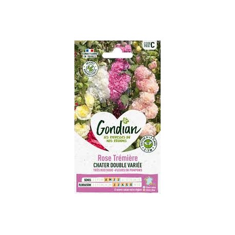 ROSE TREMIERE DOUBLE GONDIAN