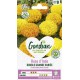 ROSE INDE DOUBLE GRANDE GONDIAN