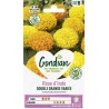 ROSE INDE DOUBLE GRANDE GONDIAN