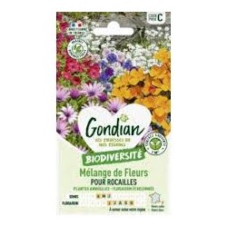 MEL FLEURS ANNUEL ROCAIL GONDIAN