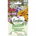 MEL FLEURS ANNUEL ROCAIL GONDIAN