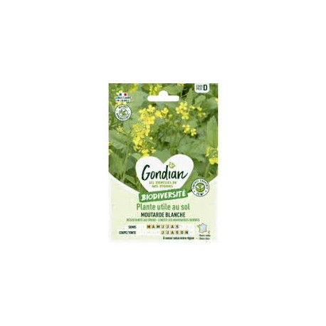 MOUTARDE BLANCHE 15M² GONDIAN