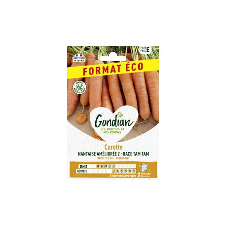 CAROTTE TAM TAM ECO GONDIAN