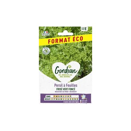 PERSIL FRISE VERT FONCE ECO GONDIAN