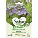 PHACELIE 15M² GONDIAN