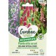MELANGE PLANTES UTILES AU SOL - SPECIAL POTAGER GONDIAN