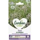THYM PROVENCE GONDIAN