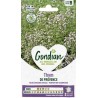 THYM PROVENCE GONDIAN