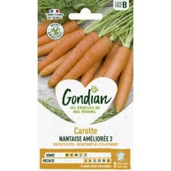CAROTTE NANTAISE AMEL 3 GONDIAN