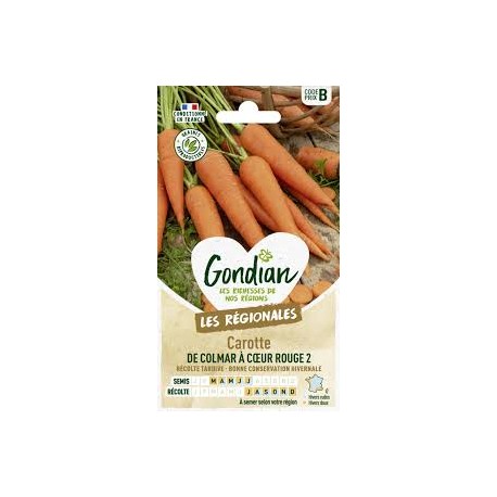 CAROTTE COLMAR GONDIAN