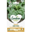 EPINARD GEANT HIVER GONDIAN