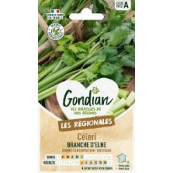 CELERI BRANCHE ELNE GONDIAN
