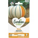 MELON ANASTA HF1 GONDIAN