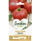 TOMATE PYROS HF1 GONDIAN