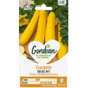 COURGETTE SOLEIL HF1 GONDIAN