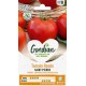 TOMATE SAINT PIERRE GONDIAN