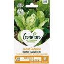 LAITUE BLONDE MARAICHERE GONDIAN