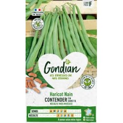 HARICOT CONTENDER GONDIAN