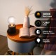 AMPOULE FILAMENT LED DECO VERRE CISELE BLANC CHAUD 240 LUMENS 3000KELVIN 3W E27