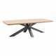 TABLE DE JARDIN ORACLION GRIS GRAPHITE EFFET BOIS 10PLACES