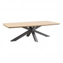 TABLE DE JARDIN ORACLION GRIS GRAPHITE EFFET BOIS 10PLACES