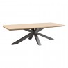 TABLE DE JARDIN ORACLION GRIS GRAPHITE EFFET BOIS 10PLACES