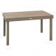 TABLE DE JARDIN PIAZZA ALUMINIUM FAUX BOIS 10PLACES CAFE