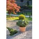 VASE PERFETTO EN TERRE CUITE WHITE DEROMA