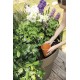 POT D'IRRIGATION EN TERRE CUITE