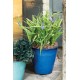 POT DE FLEURS KINFOLK TERRE CUITE AZUL DEROMA