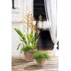 VASE VASUM DUO GRAFITE TERRE CUITE GRIS DEROMA
