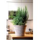 VASE VASUM DUO GRAFITE TERRE CUITE GRIS DEROMA