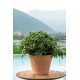 VASE VASUM DUO GRAFITE TERRE CUITE WHITE DEROMA