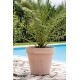 VASE MAGNO TERRE CUITE WHITE 60CM DEROMA