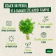 PERSIL GEANT ITALIE GONDIAN