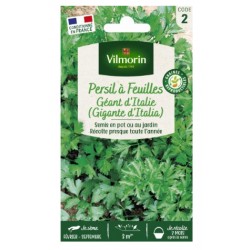 PERSIL GEANT ITALIE GONDIAN